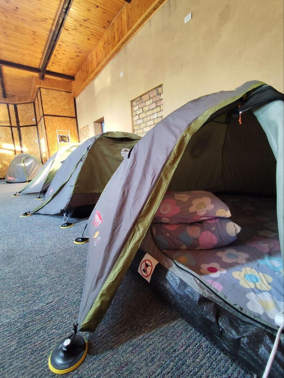 Urban Monkey Tent Hostel & Bar Karakoł Zewnętrze zdjęcie